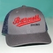 Stylish Pre Curved Brim Embroidered Logo Hat Classic Baseball Logo Cap