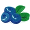 Blueberries Iron On Custom Embroidered Patches Twill Material PMS Color