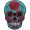 Adhesive Back Skull Bone Twill Embroidery Sewing Badge Pantone Color