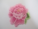 Custom Size Iron On Embroidery Patch Pink Rose Herbaceous Peony Flower